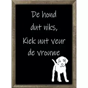 De hond dut niks