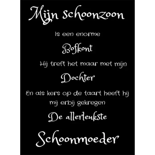 Mijn schoonzoon