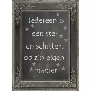 Iedereen is een ster