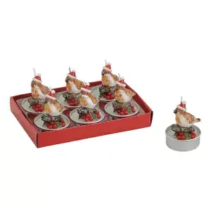 Vogeltjes met Kerstmuts