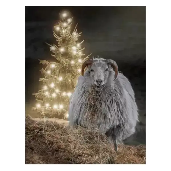 Schaap bij kerstboom