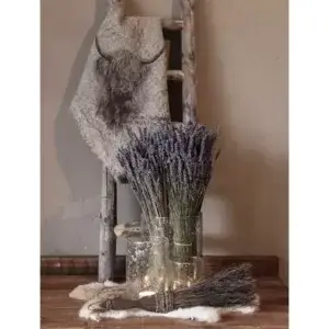 Lavendel met shabby doek