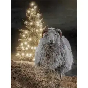 Schaap bij kerstboom