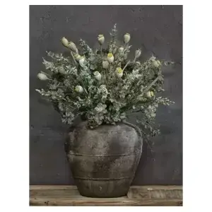 Papaver op grijze pot