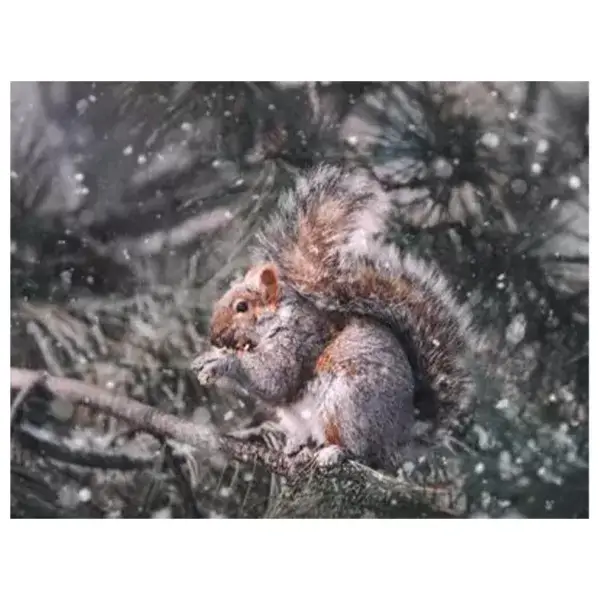 Eekhoorn in de sneeuw