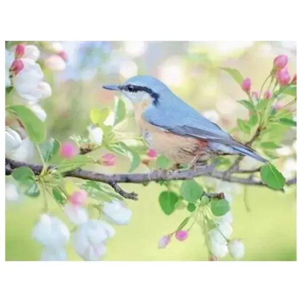 Vogel op de tak
