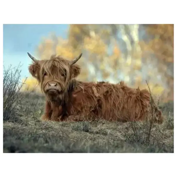 Lekker luieren in het gras