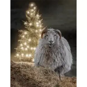 Schaap bij de kerstboom
