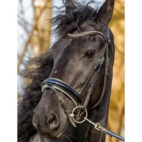 Fries paard