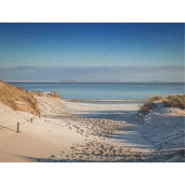 Duinen bij de Waddenzee