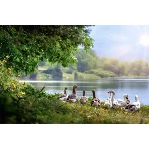 Daar bij de waterkant