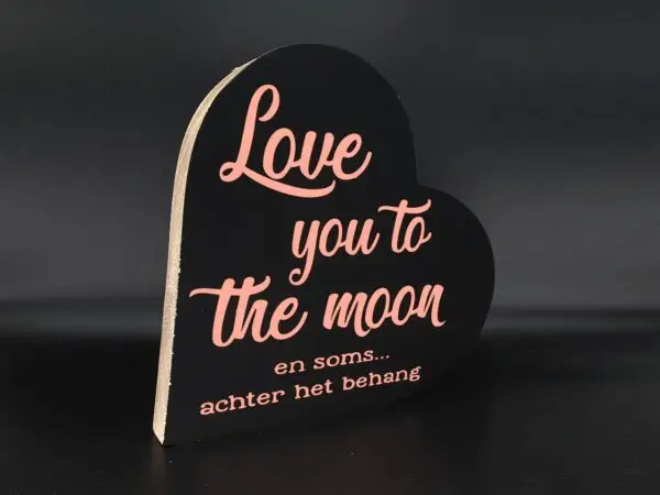 Love you to the moon