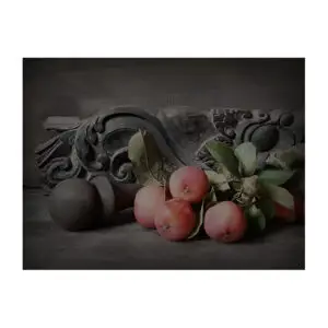 Spatscherm Malusappeltjes 60x80 cm