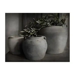 Spatscherm Olijfpotten 60x80 cm