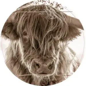 Portretfoto kalfje sepia