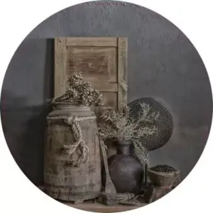 Louvredeur met pot en bloem