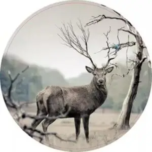 Ree met blauwe vogel