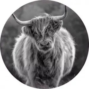 Kijkend in de camera