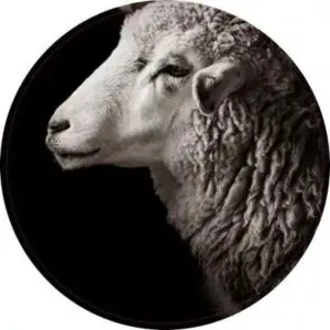 Niet zo vrolijk vandaag