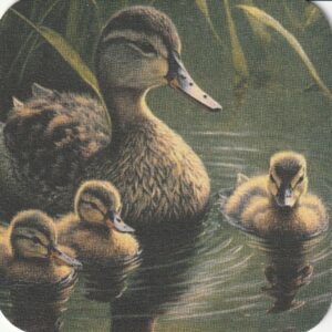 Viltjes Eendjes 10 stuks