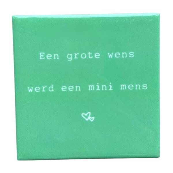 Een grote wens
