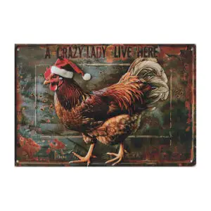 A Crazy Lady Live Here