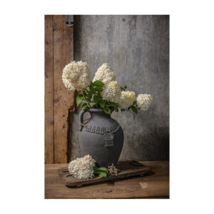 Grijze vaas met pluimhortensia