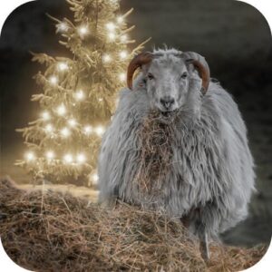 Viltjes Schaap bij kerstboom 10 stuks