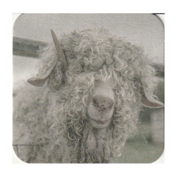 Viltjes Wollig schaap 10 stuks - Afbeelding 2