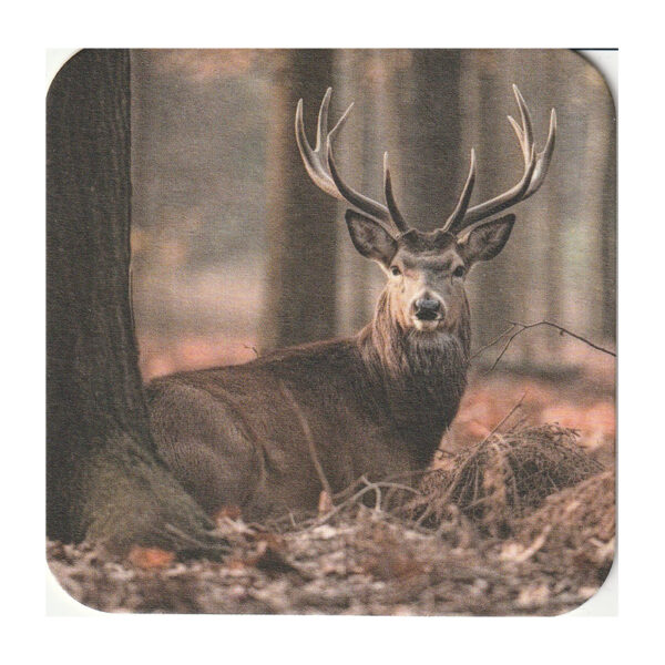 Viltjes liggend rendier in het bos 10 stuks - Afbeelding 2