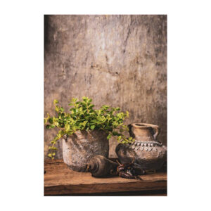 Stoer en sober met groene plant