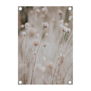 Prachtige droogbloemen