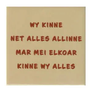 Wy kinne net alles alline